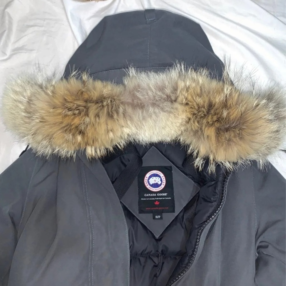 Canada Goose